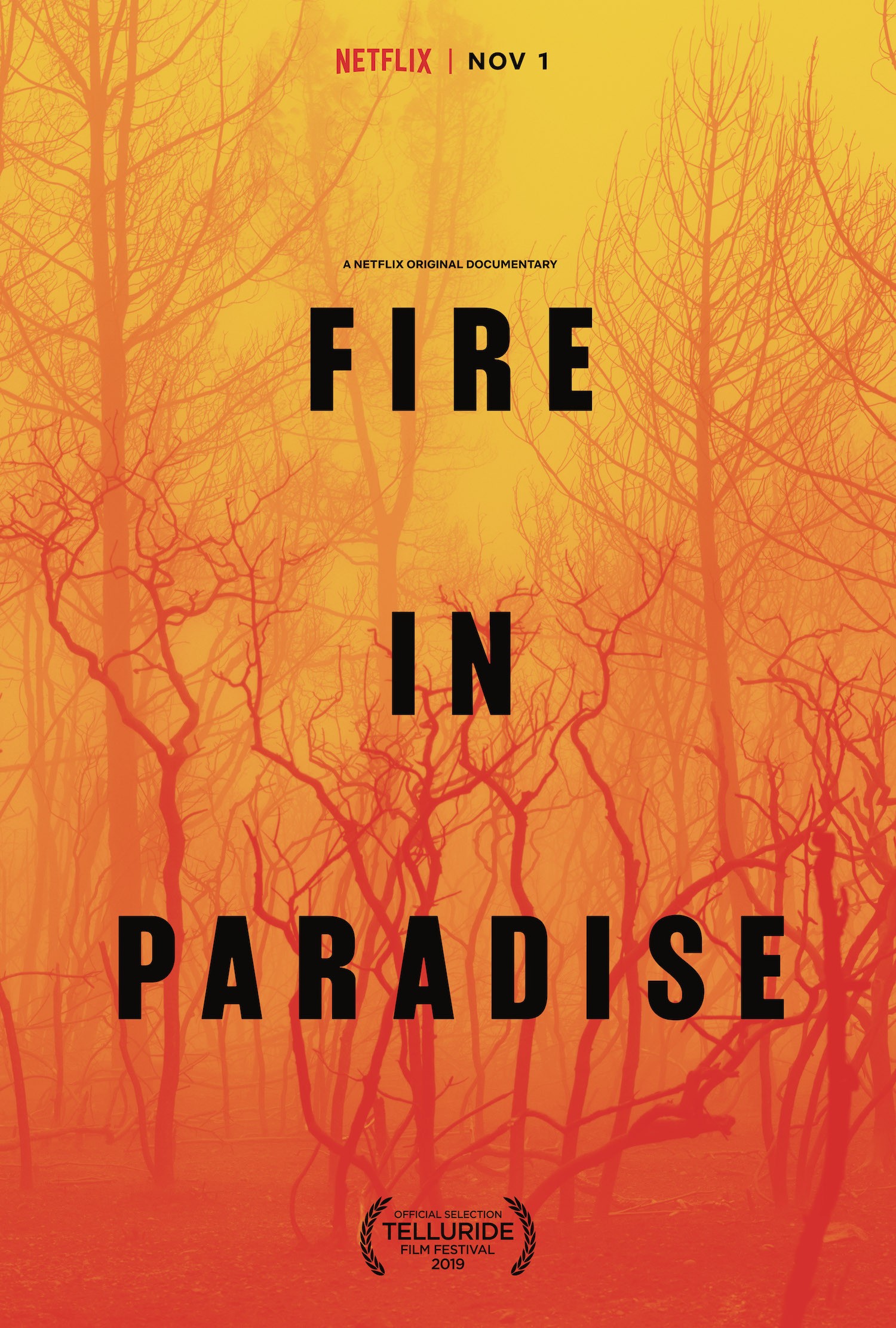 Mega Sized Movie Poster Image for Fire in Paradise