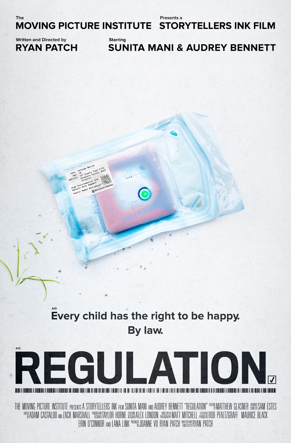 Extra Large Movie Poster Image for Regulation