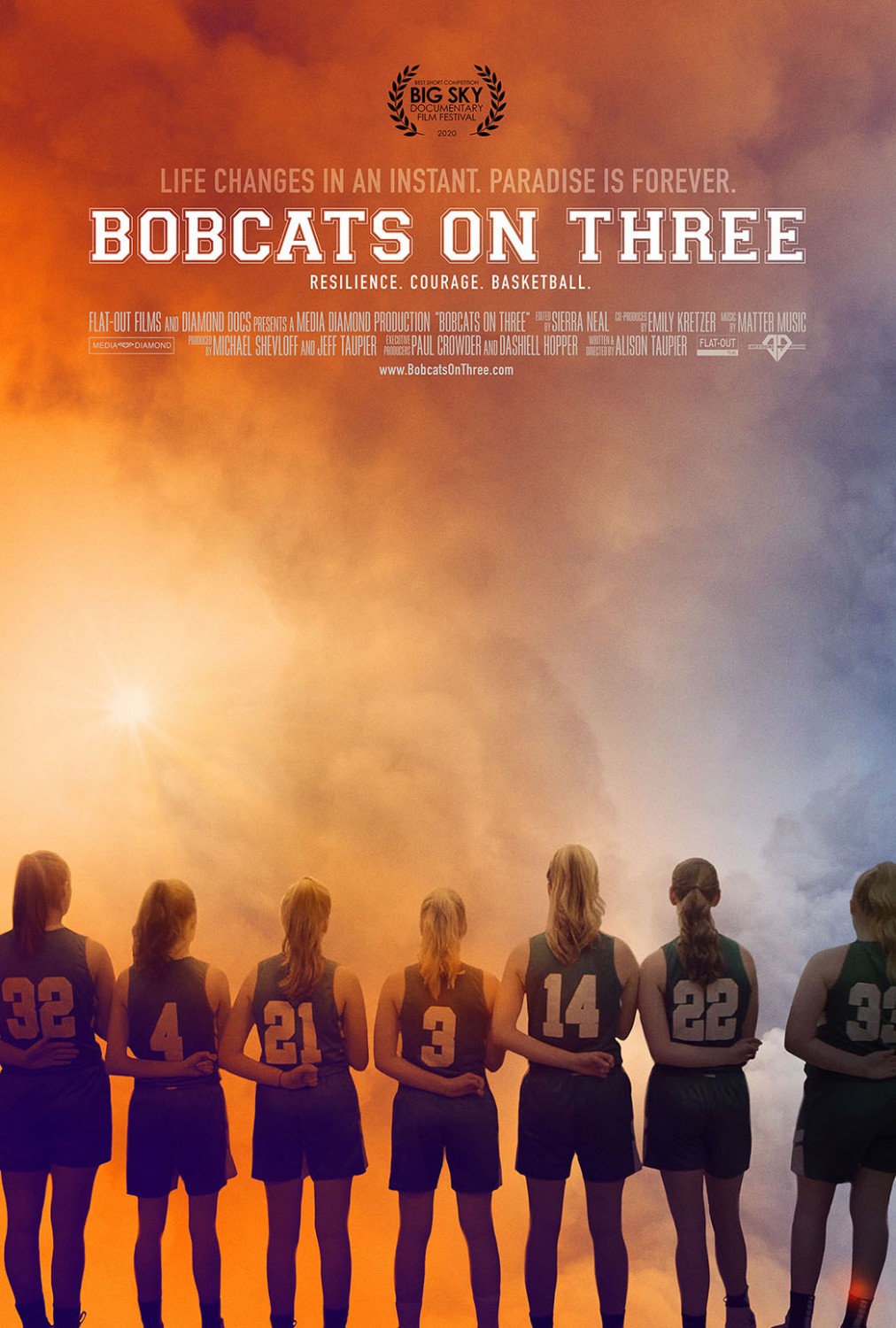 Extra Large Movie Poster Image for Bobcats On Three