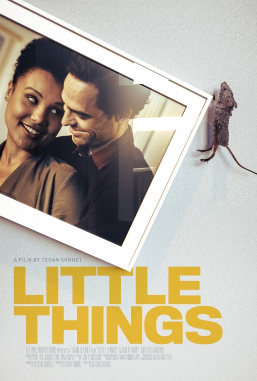Little Things Short Film Poster