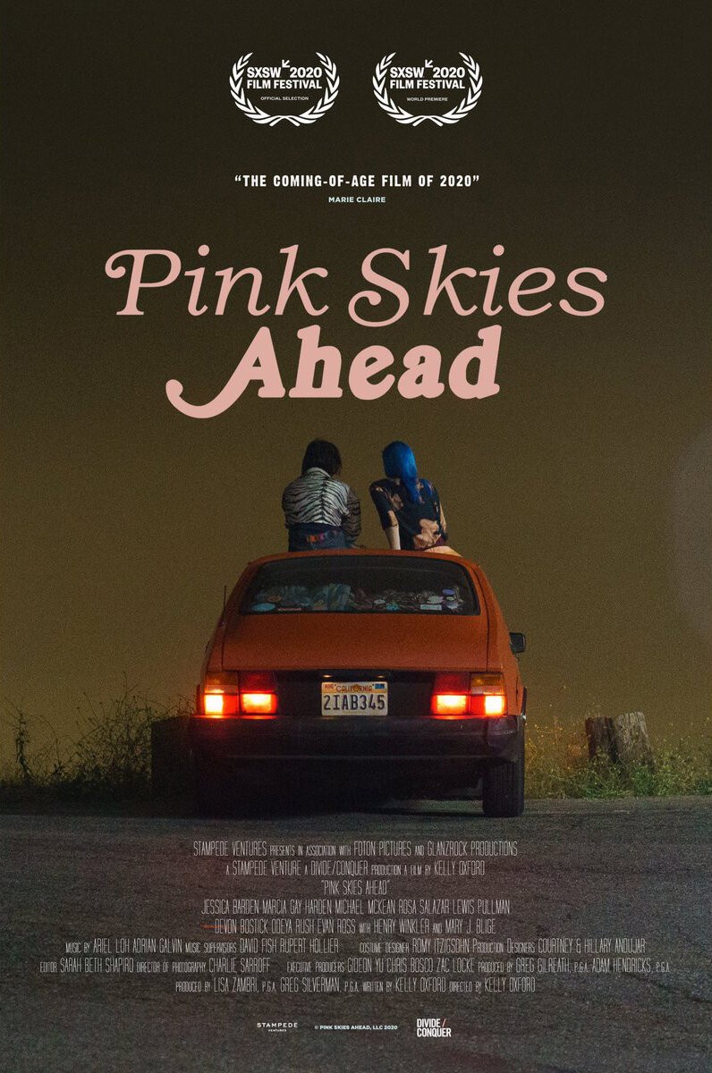 Extra Large Movie Poster Image for Pink Skies Ahead