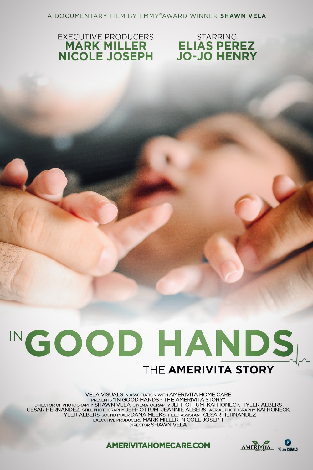Extra Large Movie Poster Image for In Good Hands - The Amerivita Story