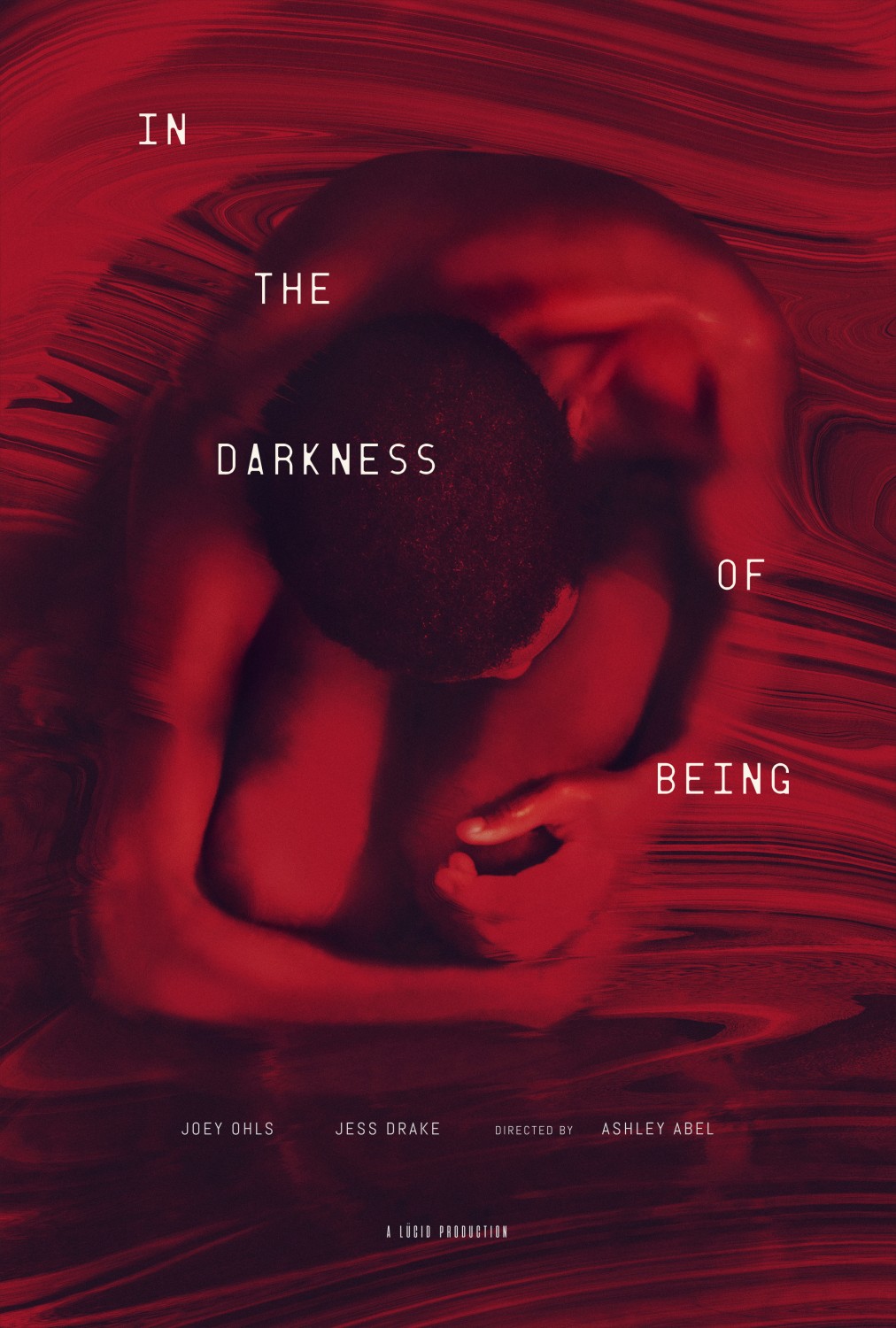 Extra Large Movie Poster Image for In the Darkness of Being