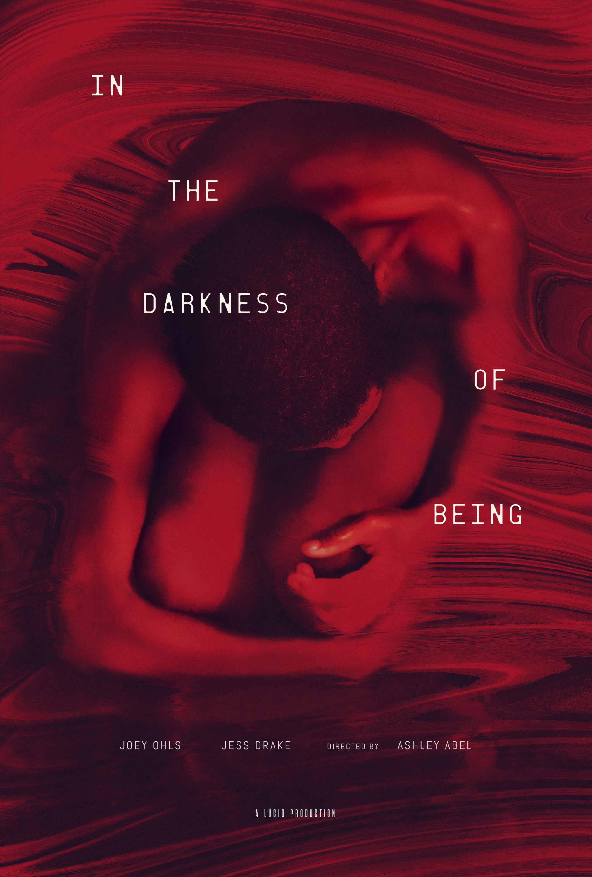Mega Sized Movie Poster Image for In the Darkness of Being