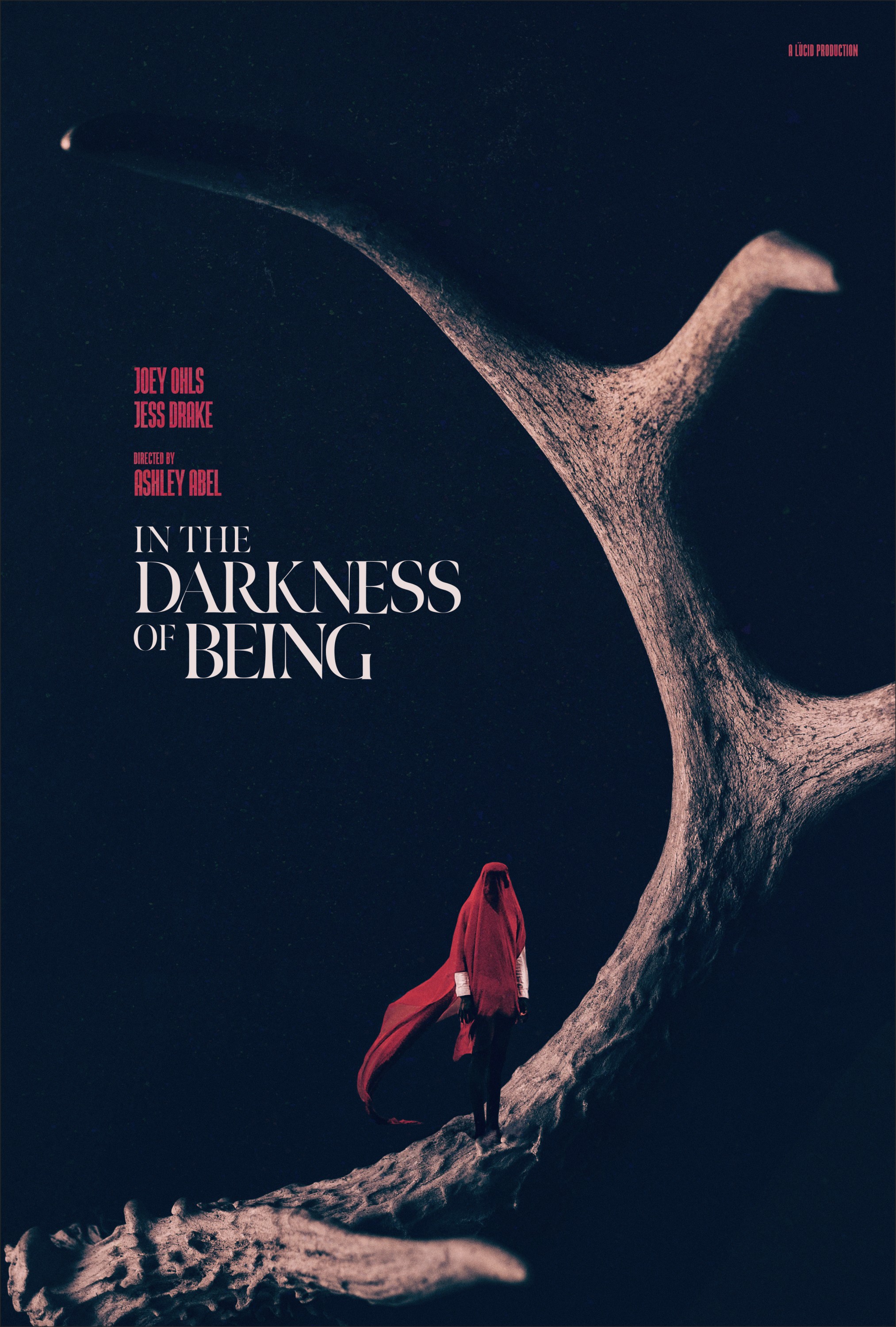 Mega Sized Movie Poster Image for In the Darkness of Being