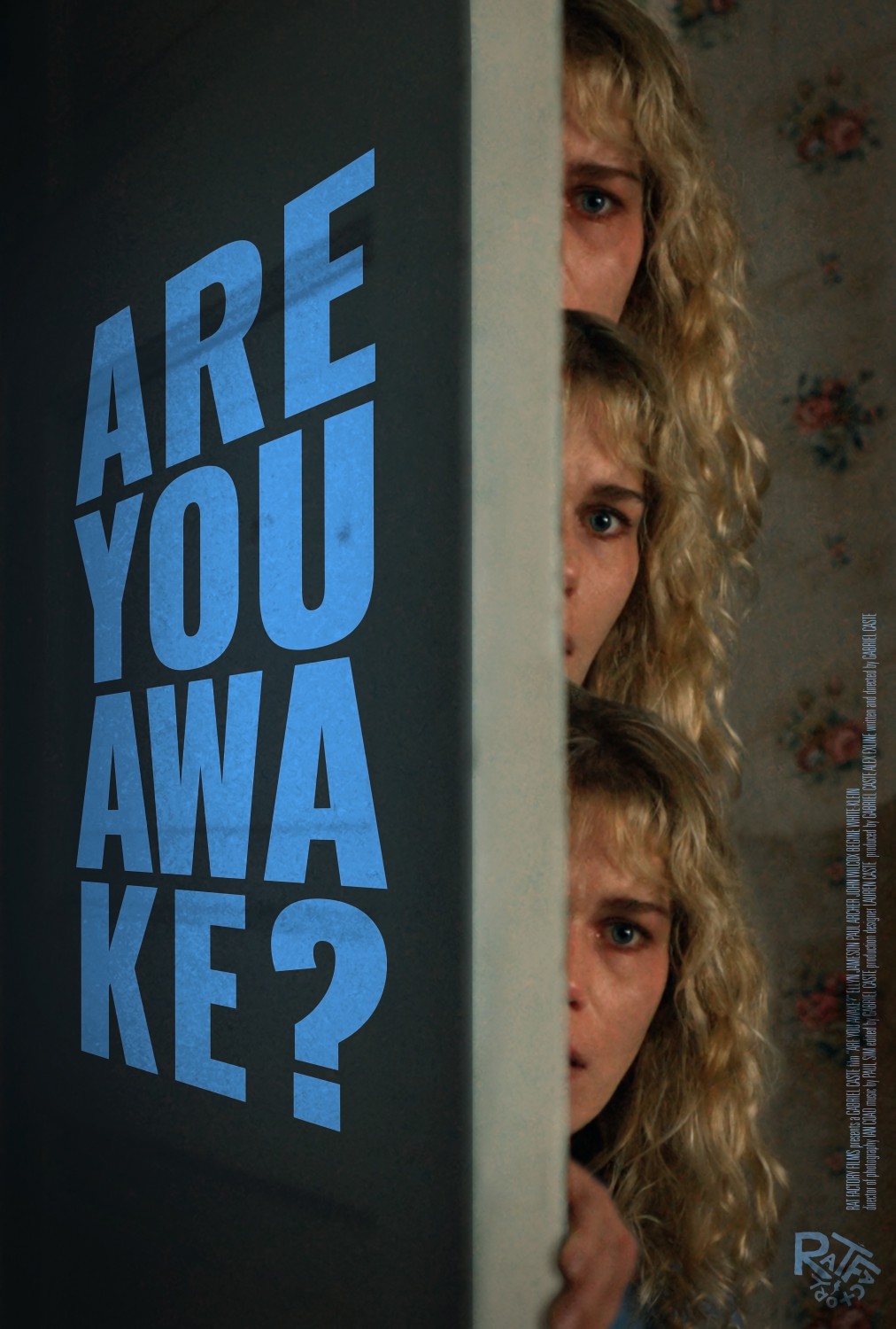 Extra Large Movie Poster Image for Are You Awake?