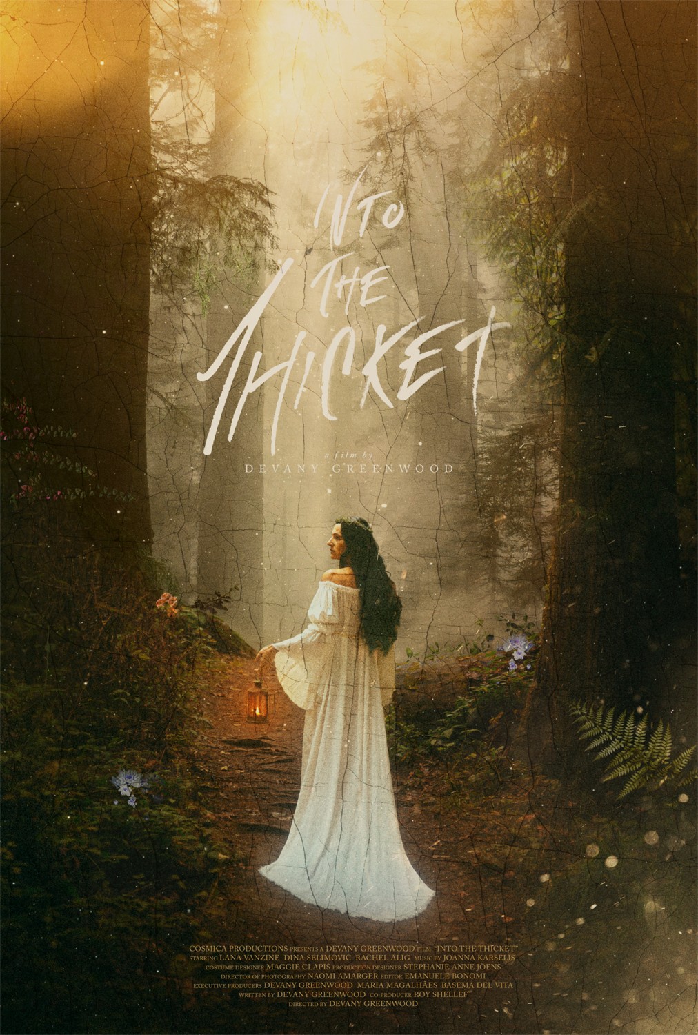 Extra Large Movie Poster Image for Into the Thicket