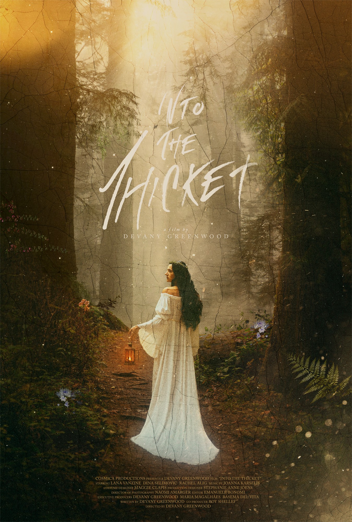 Mega Sized Movie Poster Image for Into the Thicket