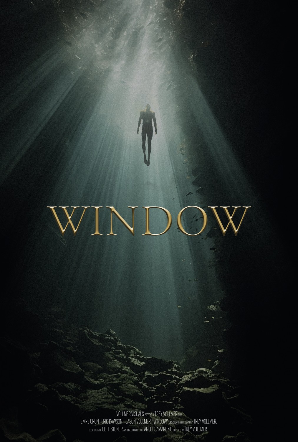 Extra Large Movie Poster Image for Window