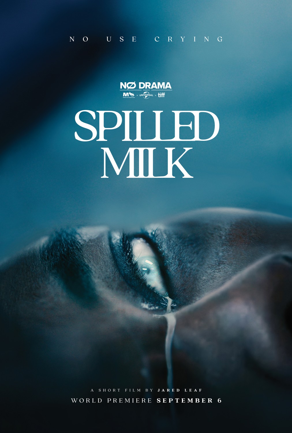Extra Large Movie Poster Image for Spilled Milk