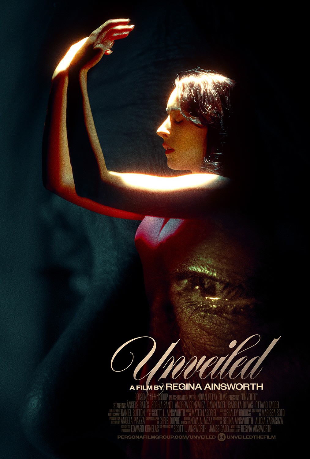 Extra Large Movie Poster Image for Unveiled