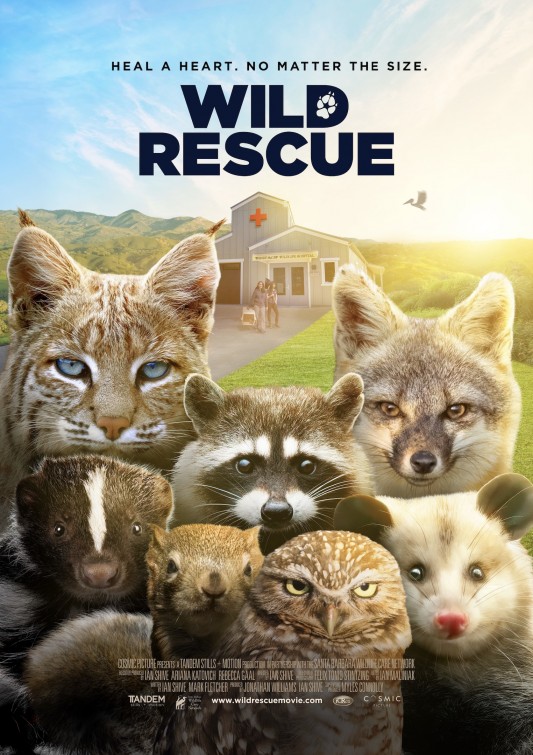 Wild Rescue Short Film Poster