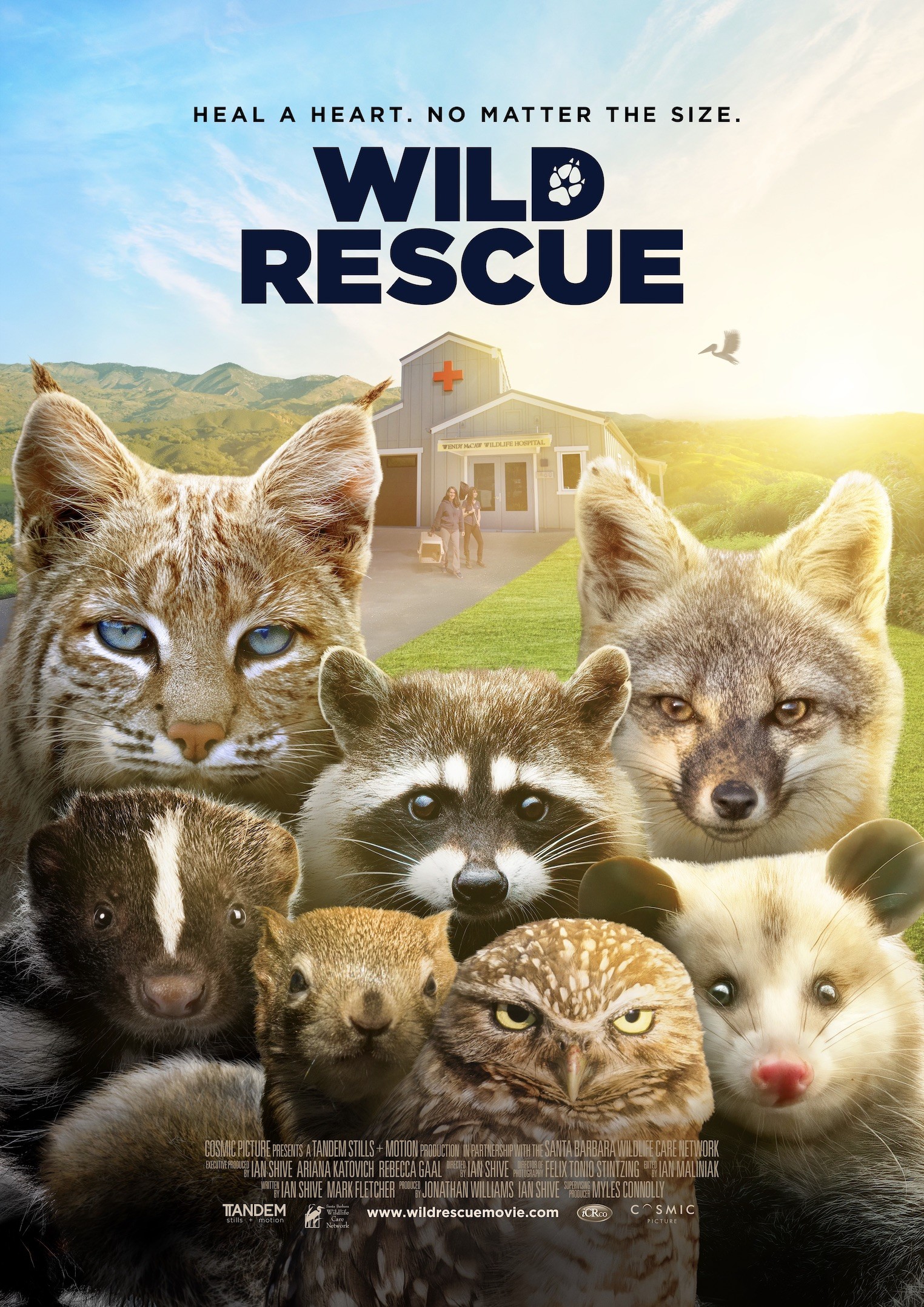 Mega Sized Movie Poster Image for Wild Rescue