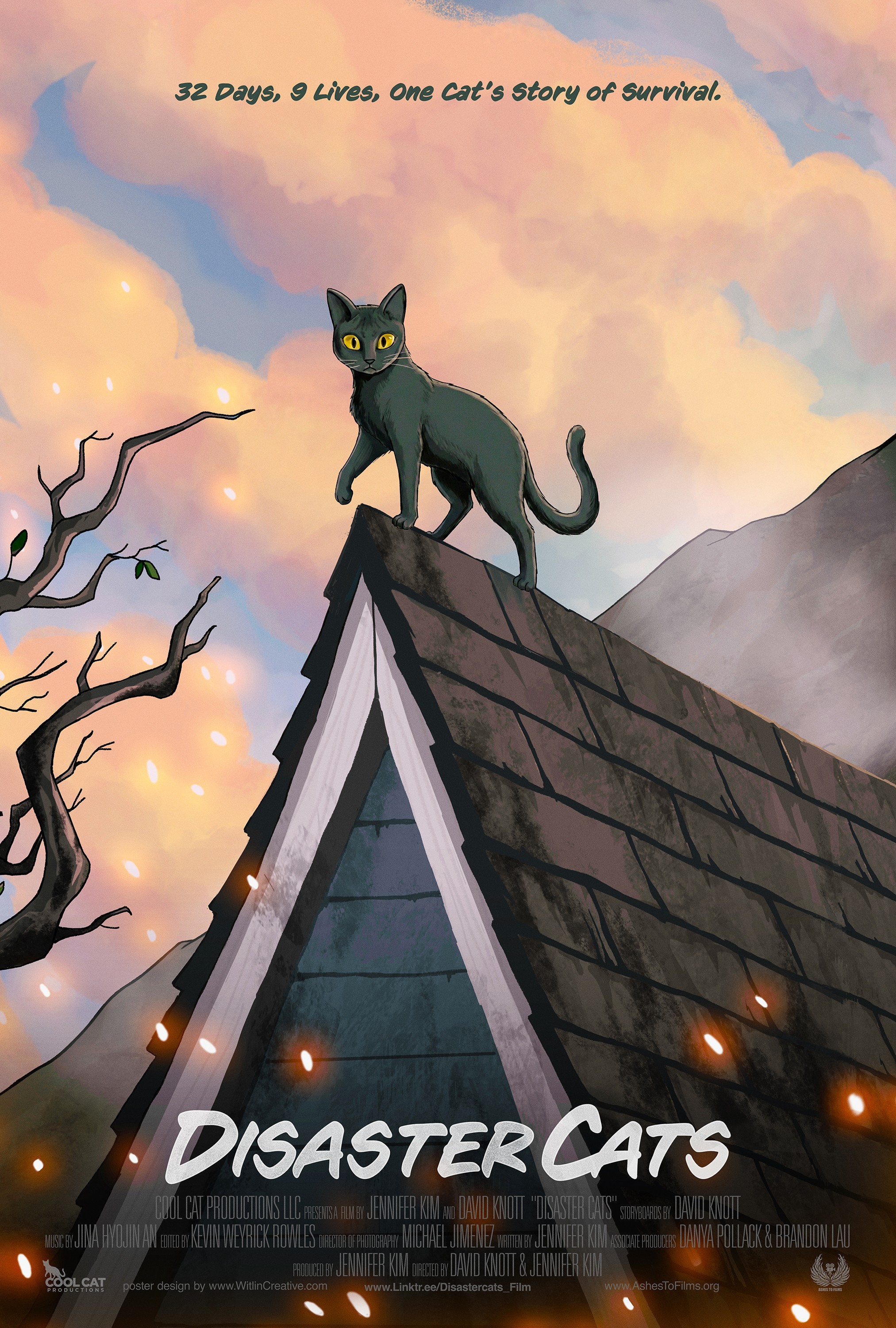 Mega Sized Movie Poster Image for Disaster Cats