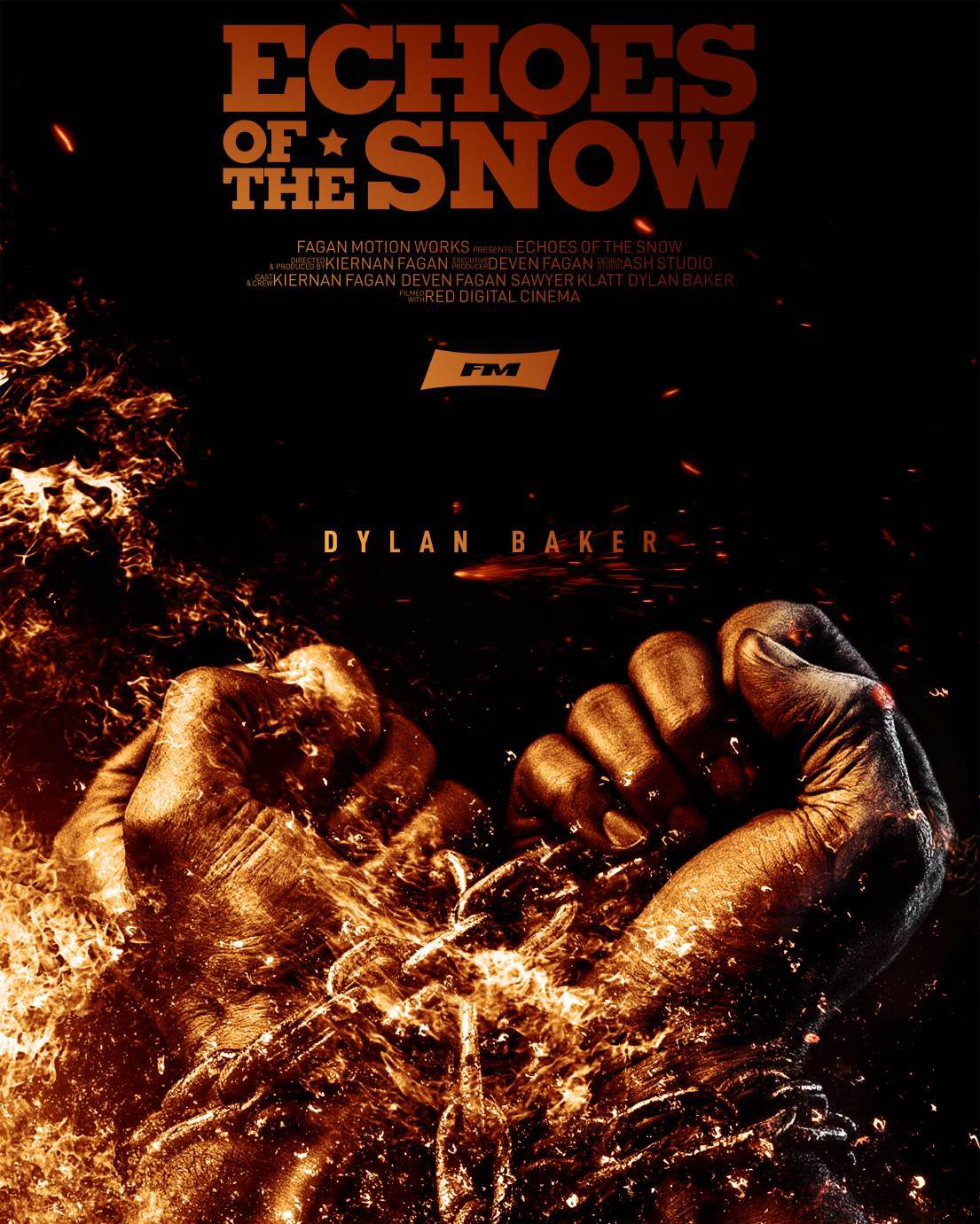 Extra Large Movie Poster Image for Echoes of the Snow