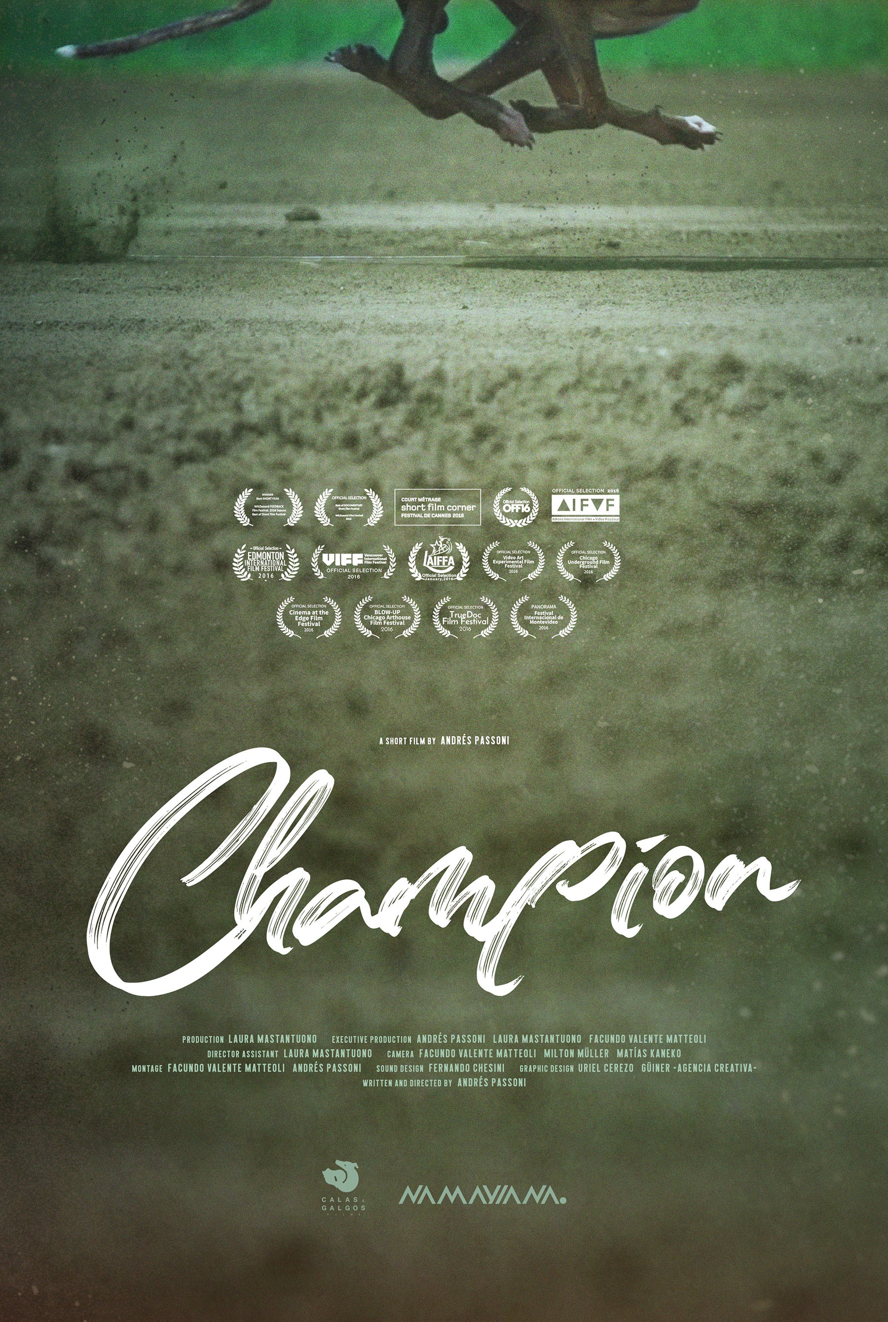 Mega Sized Movie Poster Image for Champion