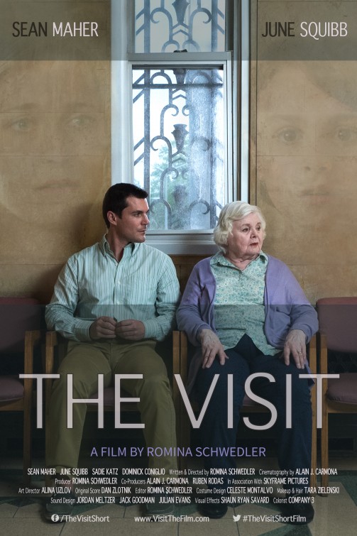 The Visit Short Film Poster