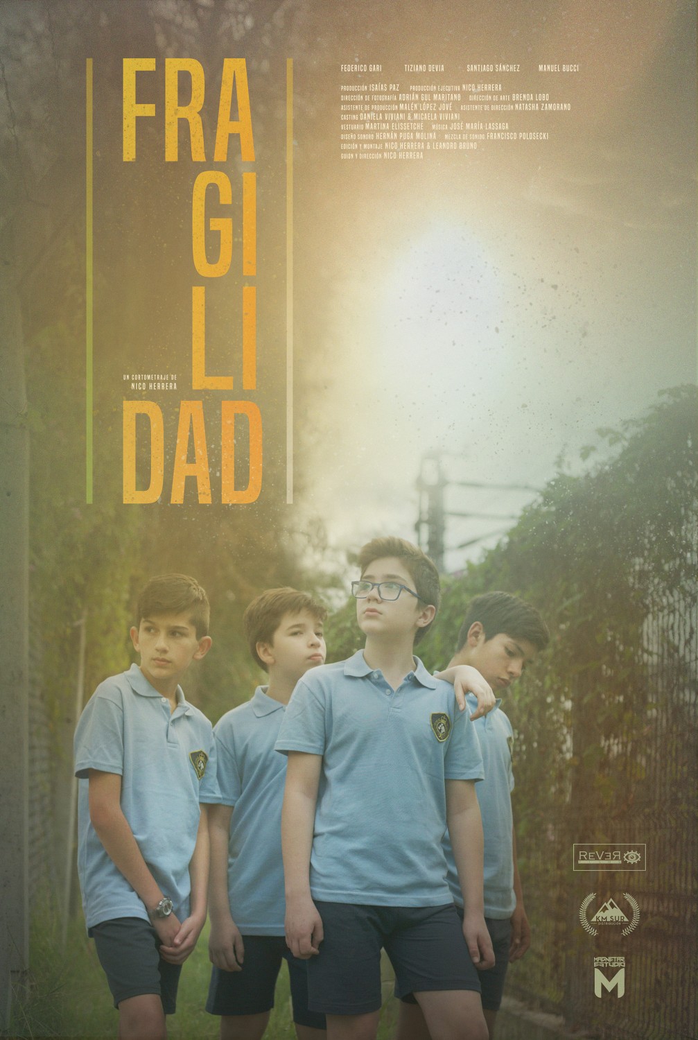 Extra Large Movie Poster Image for Fragilidad