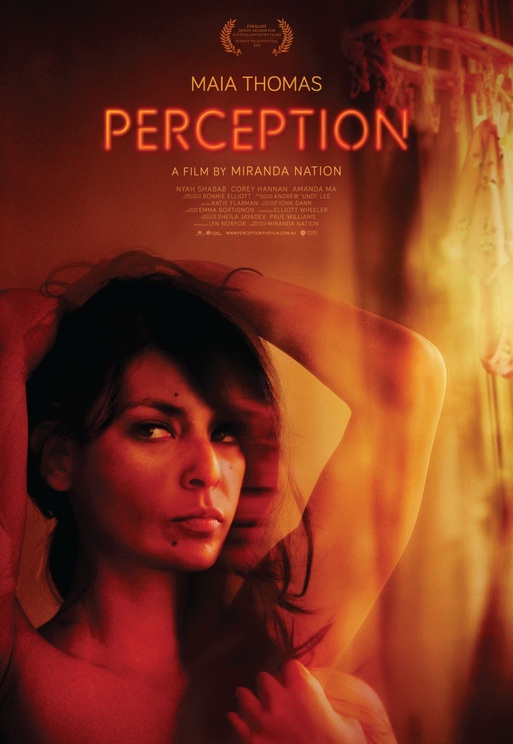 Extra Large Movie Poster Image for Perception