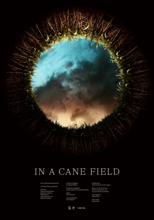 In a Cane Field Short Film Poster