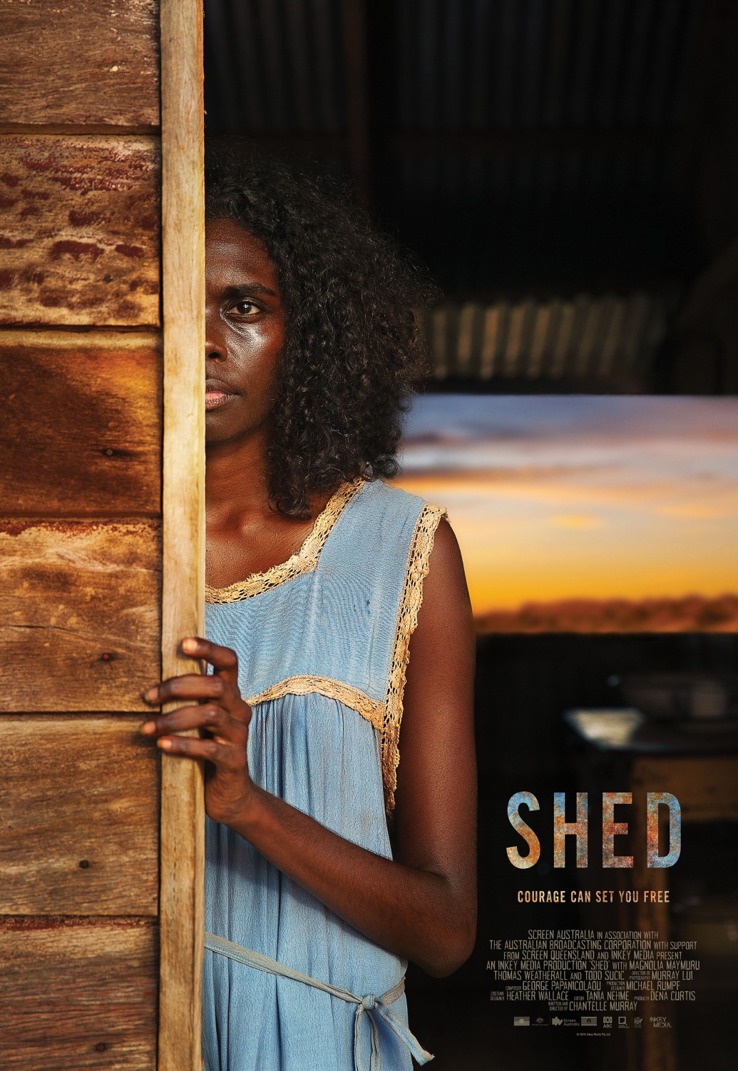 Extra Large Movie Poster Image for Shed