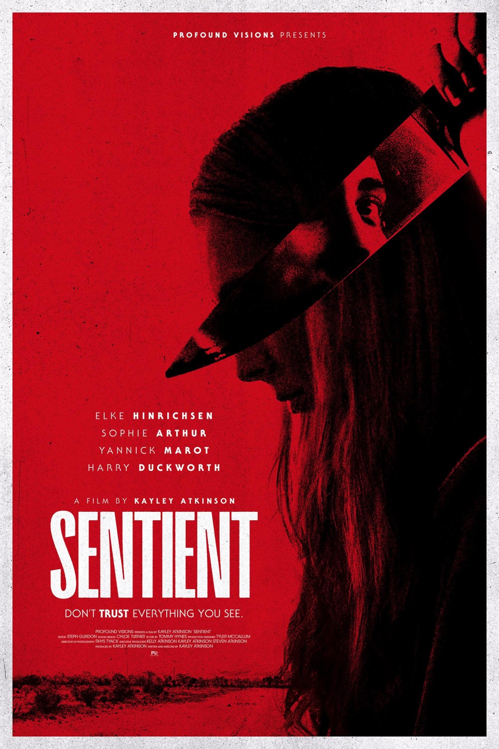 Extra Large Movie Poster Image for Sentient