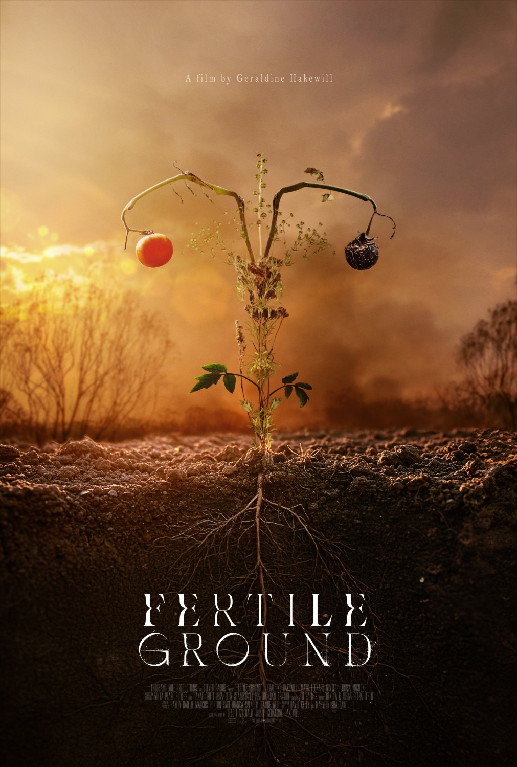 Extra Large Movie Poster Image for Fertile Ground