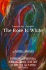 The Rose Is White (2012) Thumbnail