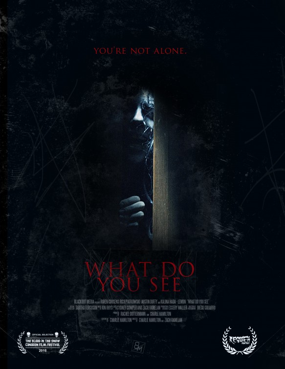 What Do You See Short Film Poster