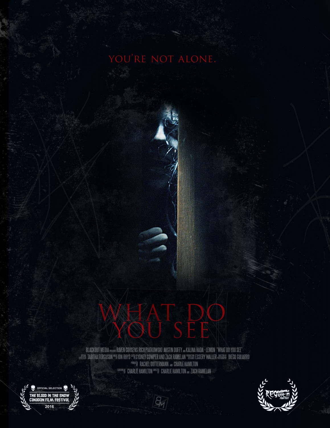 Extra Large Movie Poster Image for What Do You See