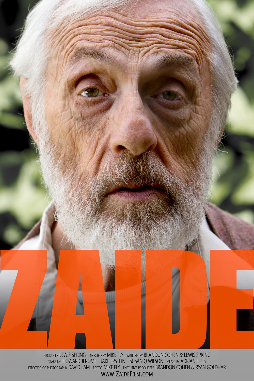 Extra Large Movie Poster Image for Zaide