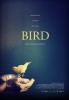 Bird (2017) Thumbnail