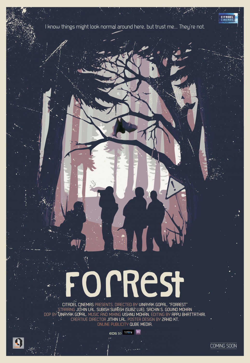 Extra Large Movie Poster Image for ForRest