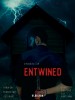 Entwined - The possibilities are endless (2018) Thumbnail