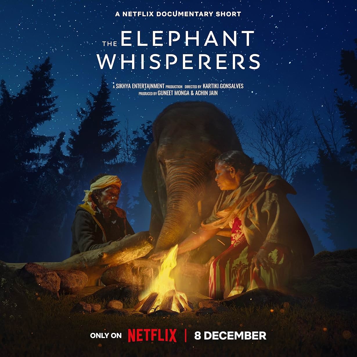 Extra Large Movie Poster Image for The Elephant Whisperers