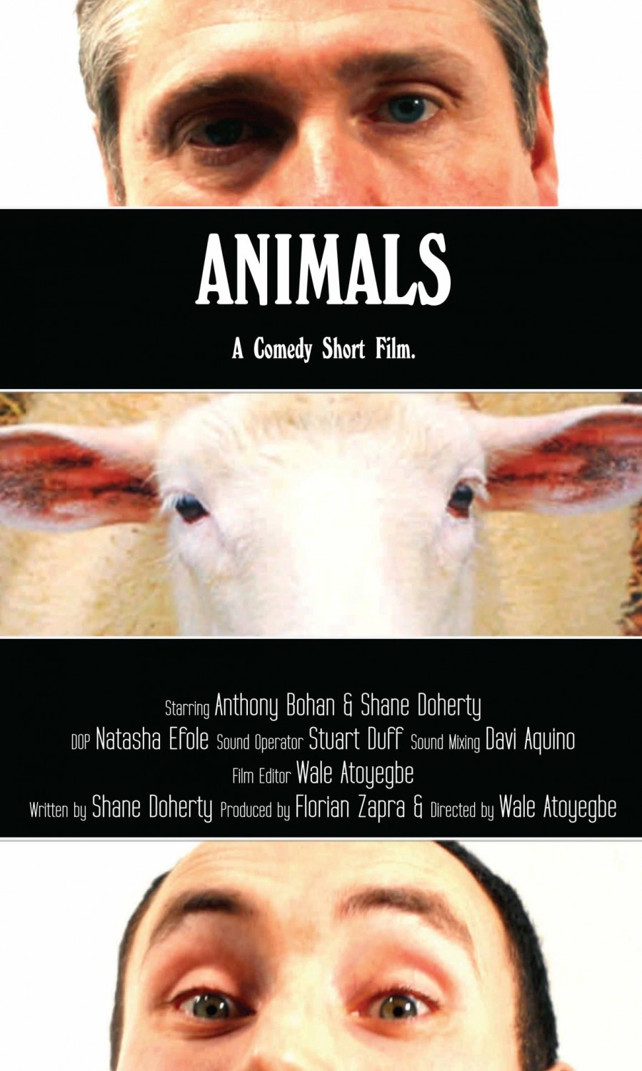 Extra Large Movie Poster Image for Animals