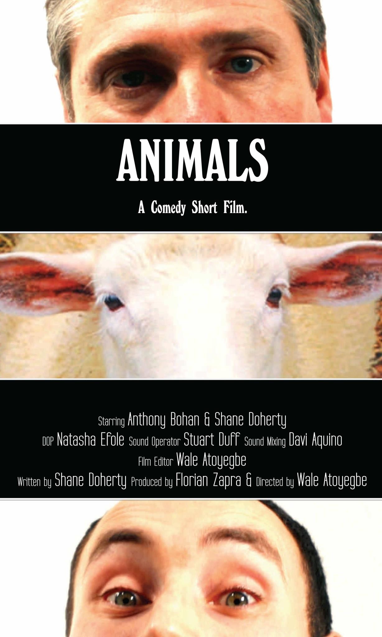 Mega Sized Movie Poster Image for Animals