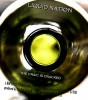 Liquid Nation (2013) Thumbnail