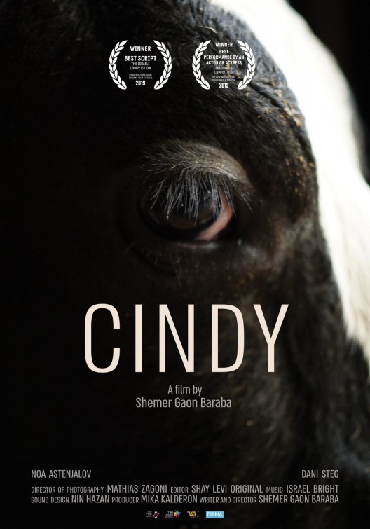 Cindy Short Film Poster