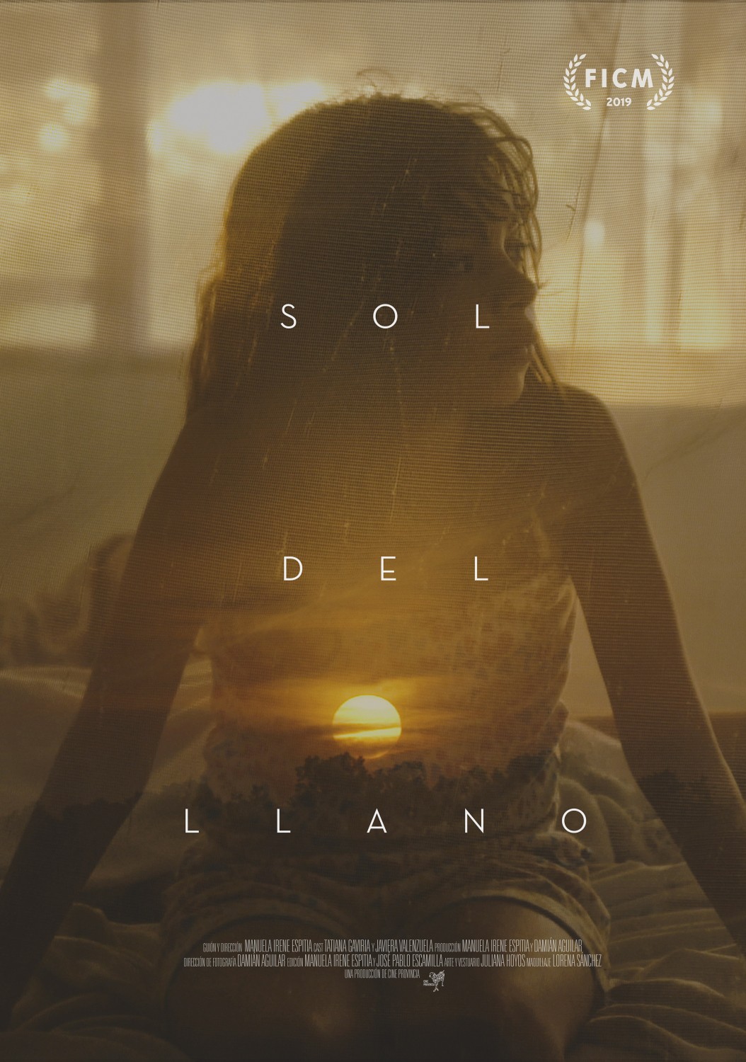 Extra Large Movie Poster Image for Sol del llano