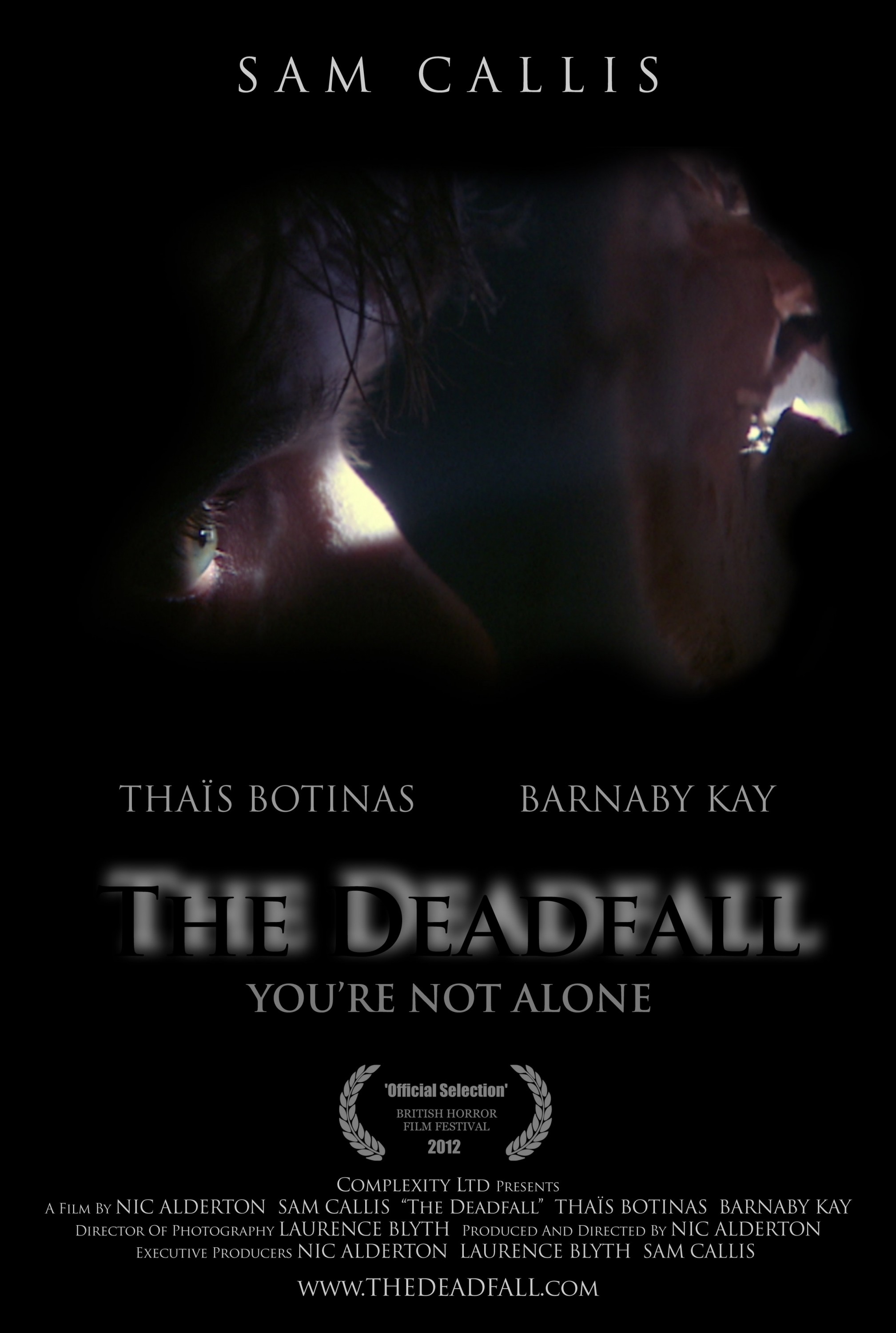 Mega Sized Movie Poster Image for The Deadfall