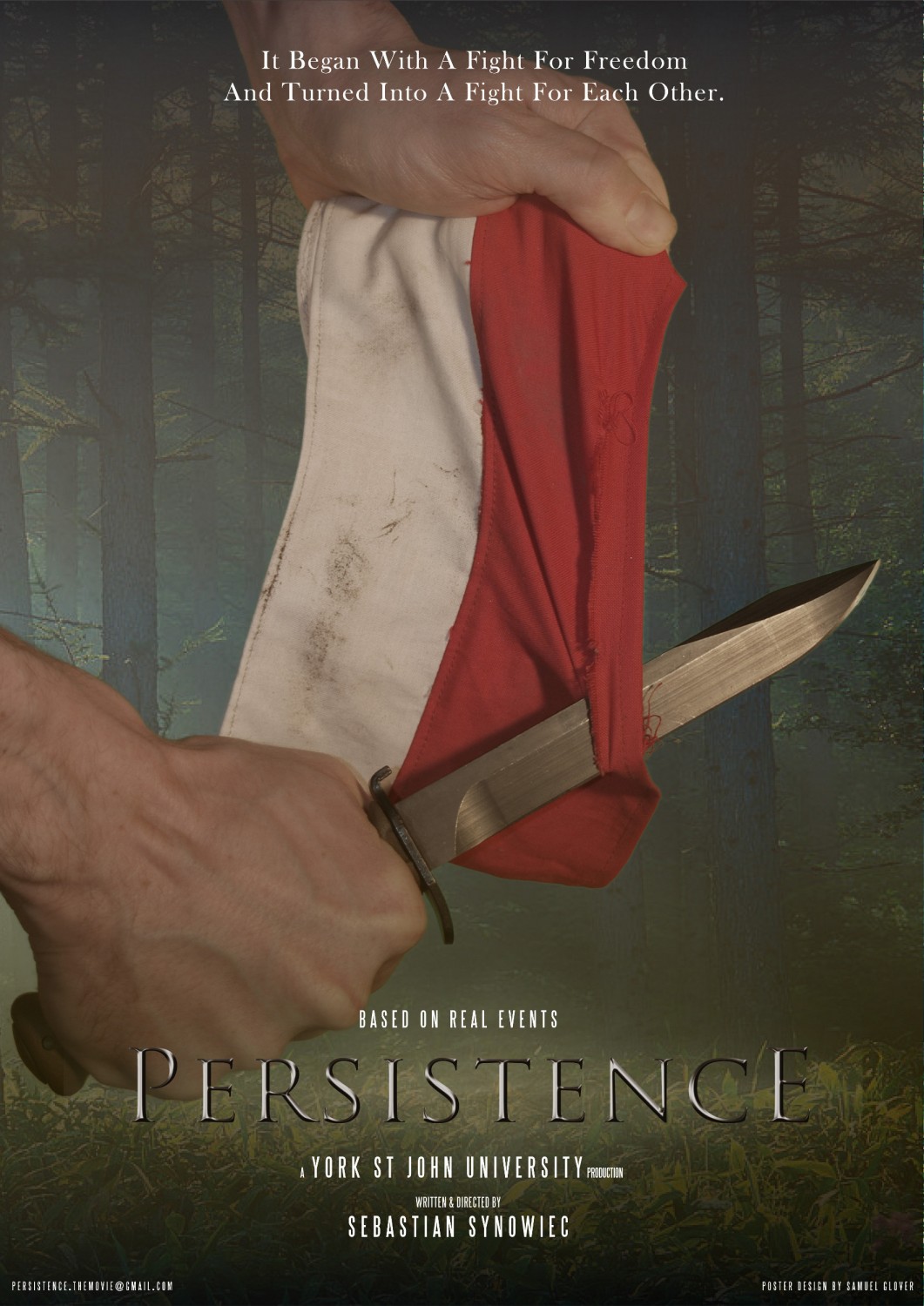 Extra Large Movie Poster Image for Persistence