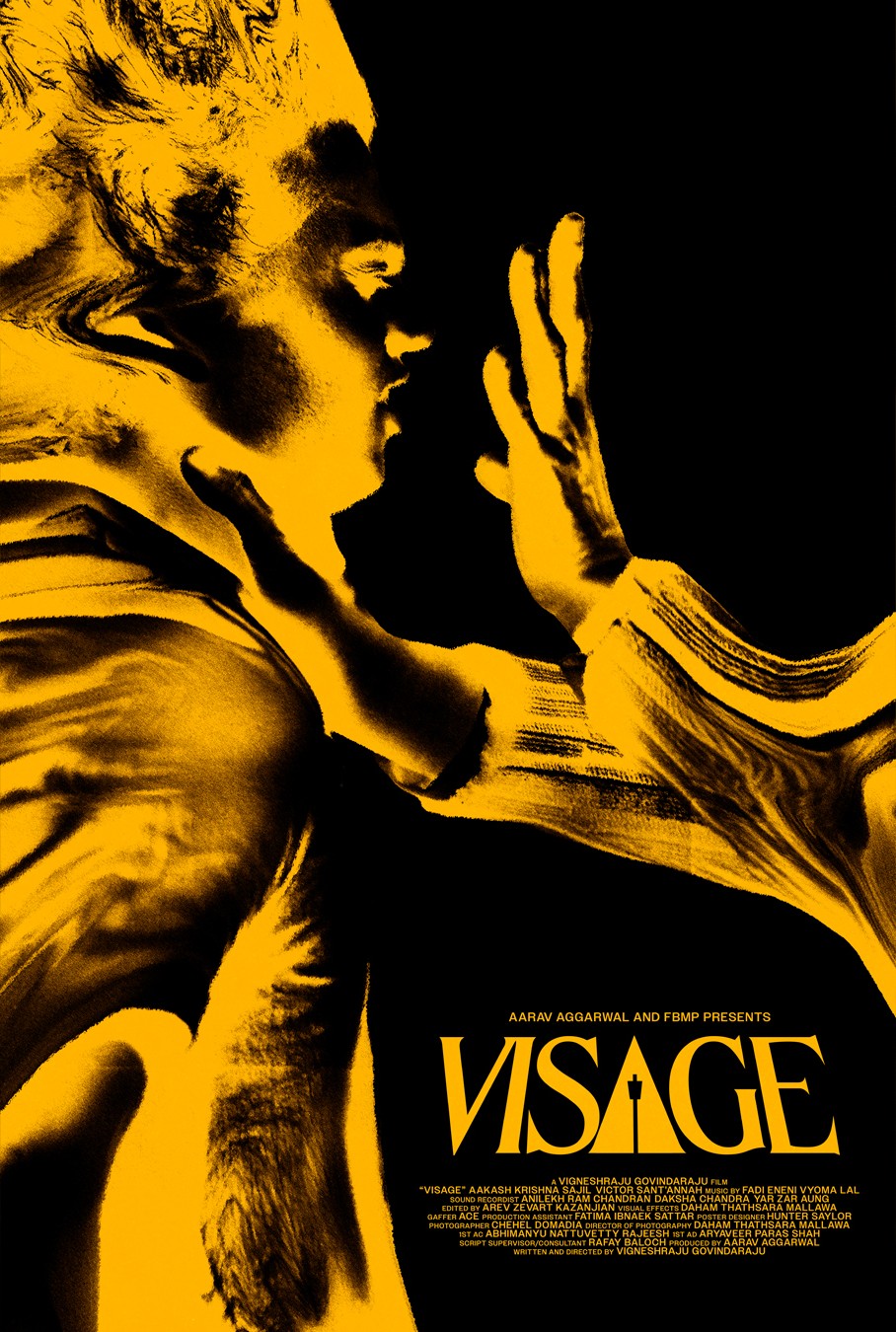 Extra Large Movie Poster Image for Visage