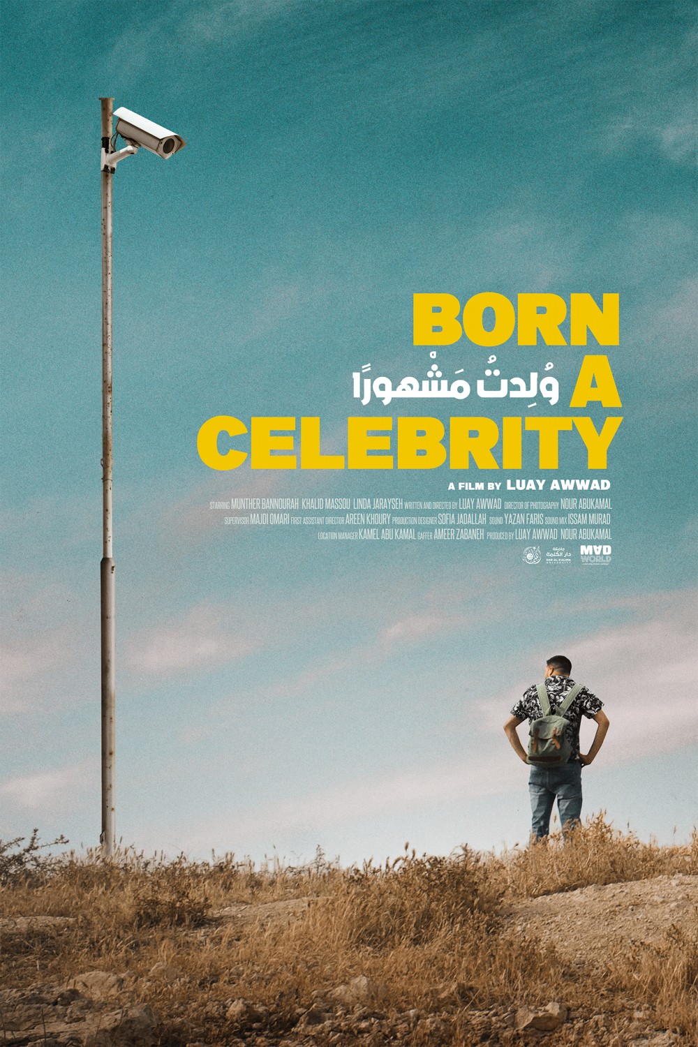 Extra Large Movie Poster Image for Born a Celebrity