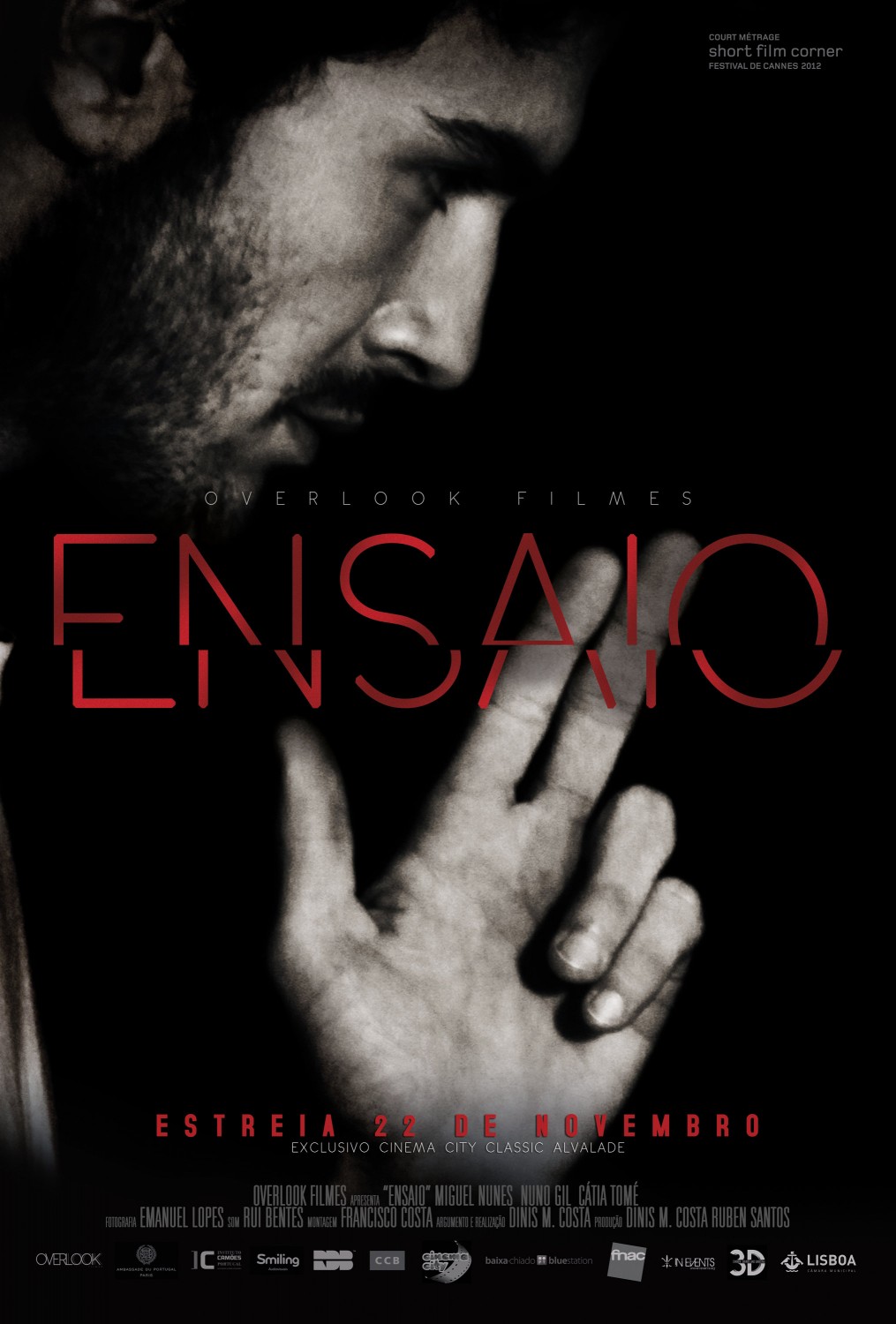 Extra Large Movie Poster Image for Ensaio