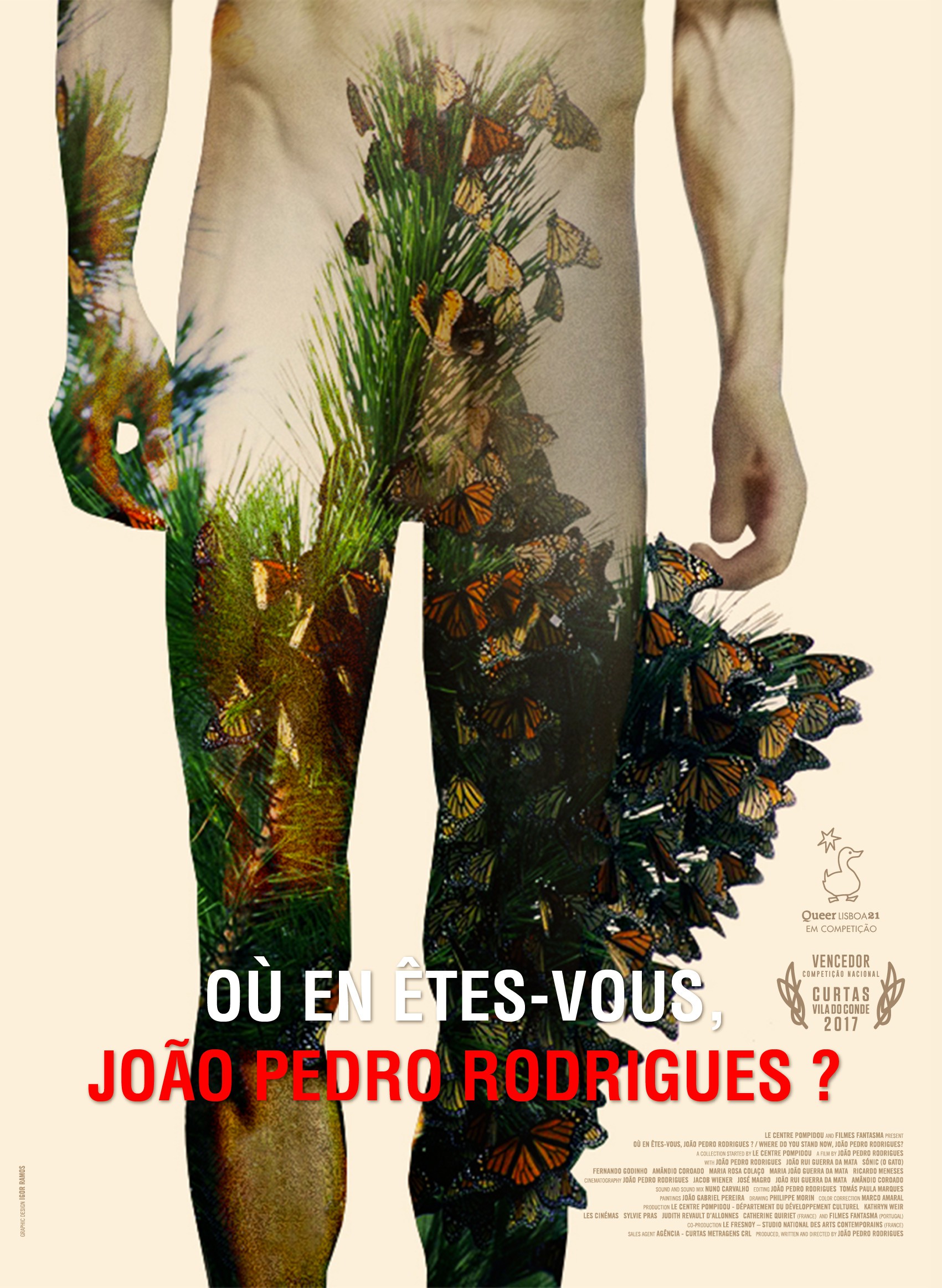Mega Sized Movie Poster Image for Where Do You Stand Now, Joao Pedro Rodrigues