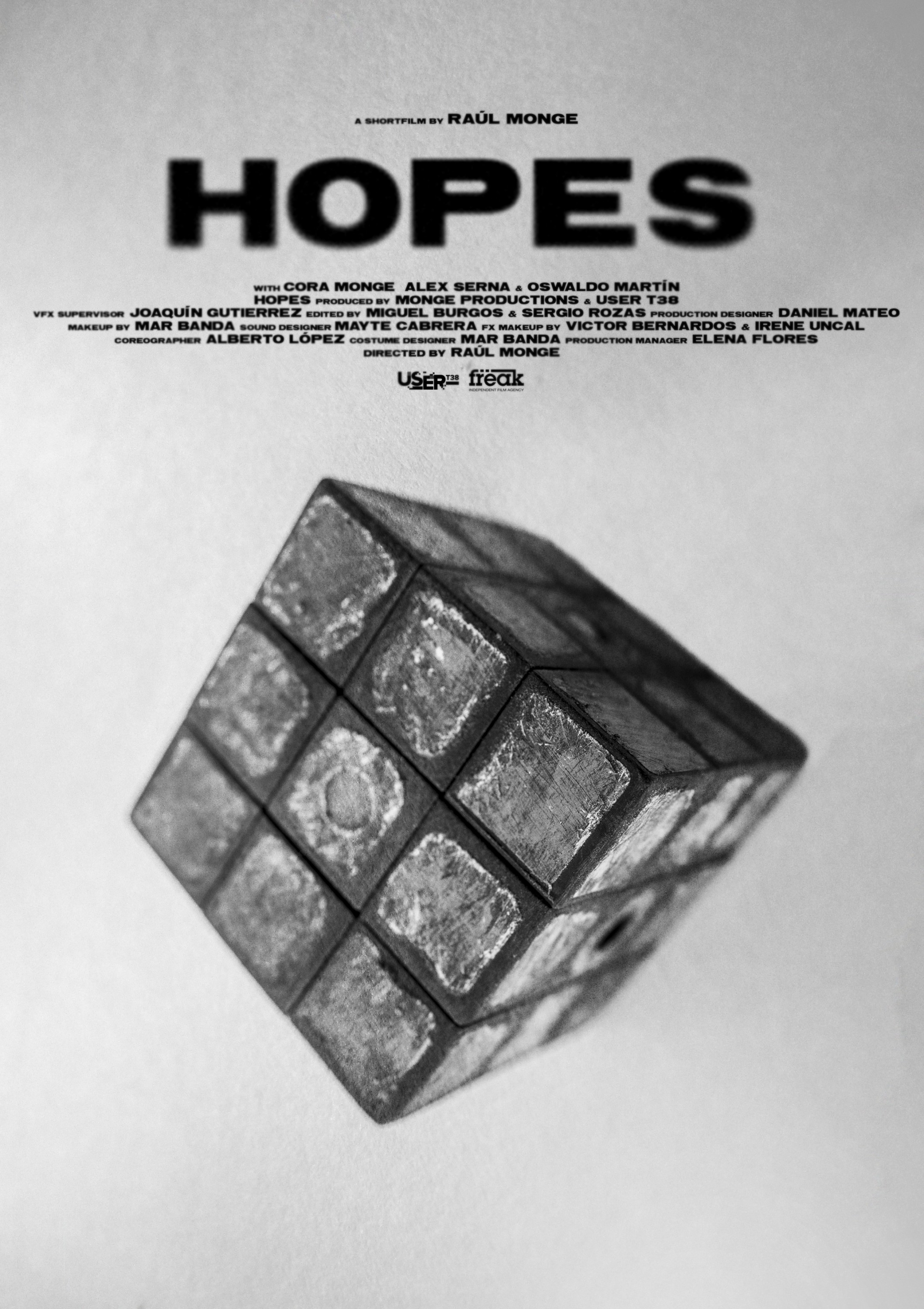 Mega Sized Movie Poster Image for Hopes