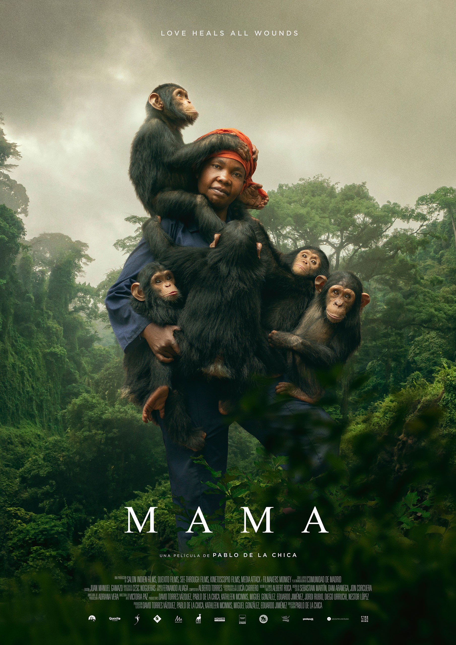 Mega Sized Movie Poster Image for Mama
