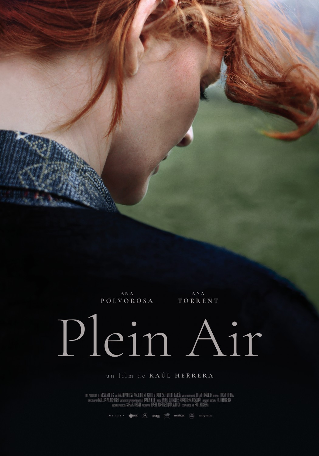 Extra Large Movie Poster Image for Plein air