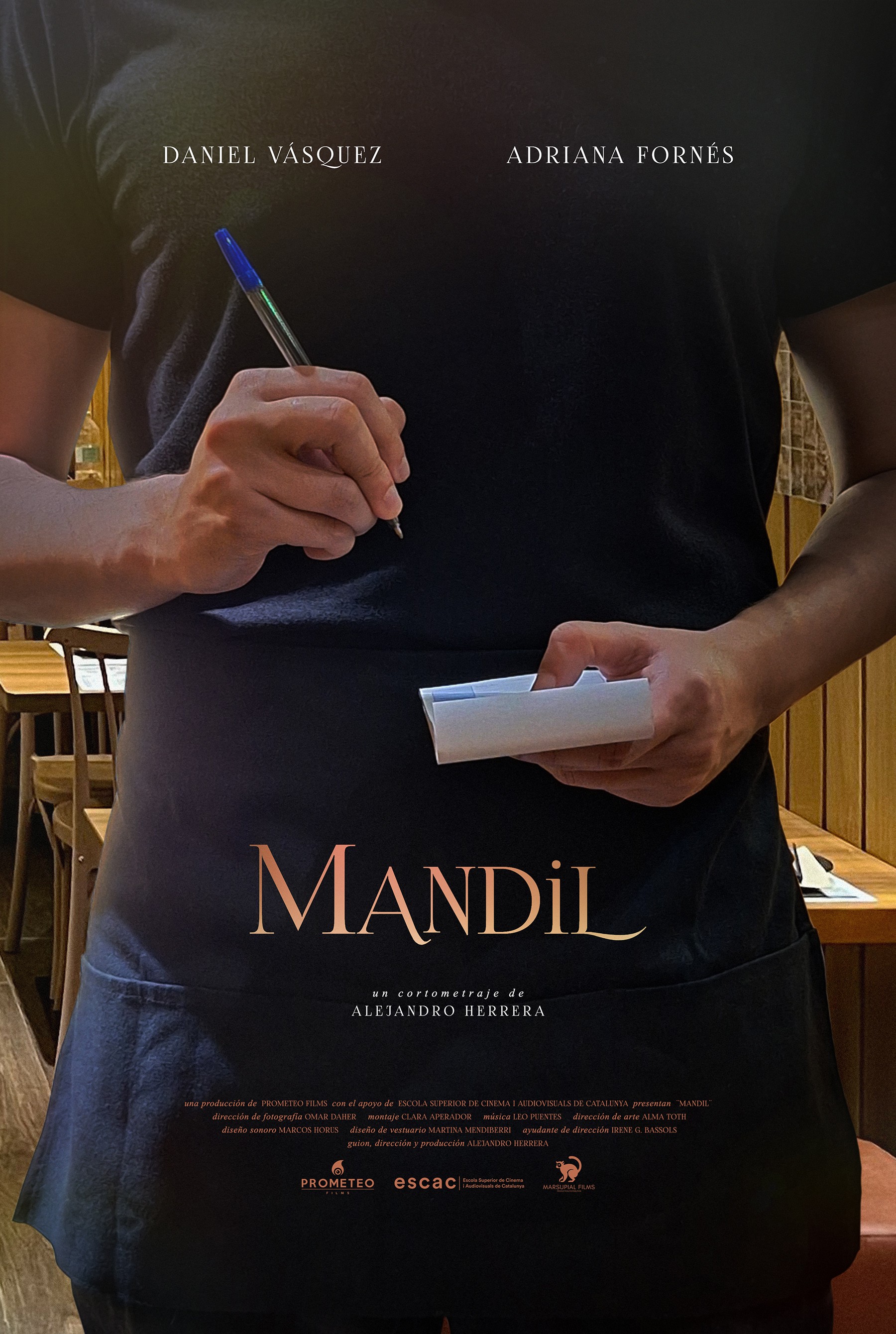 Mega Sized Movie Poster Image for Mandil